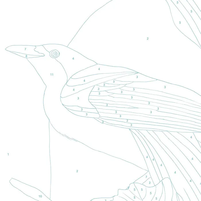Baltic Club Paint By Numbers Kit Bird of Paradise